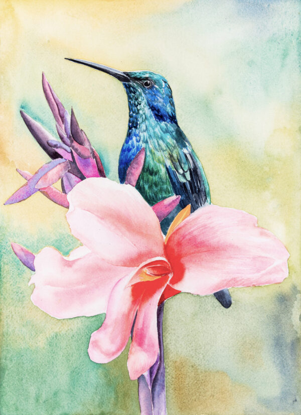 El despertar del colibrí