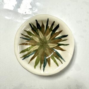 Cuenco cerámica Vegetal