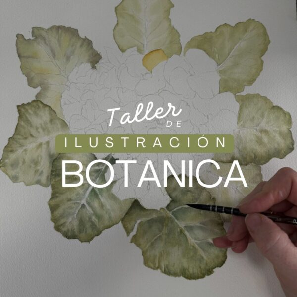 Taller de ilustración botánica